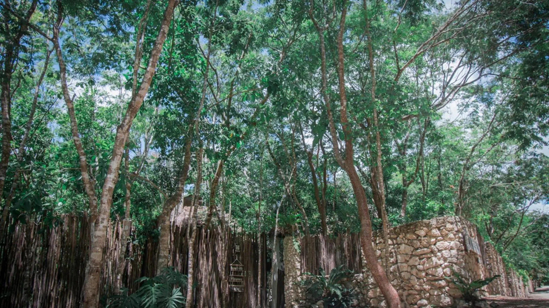 Pepem Holistic Experience - Peaceful Retreat Near Tulum (Adults Only) Villa