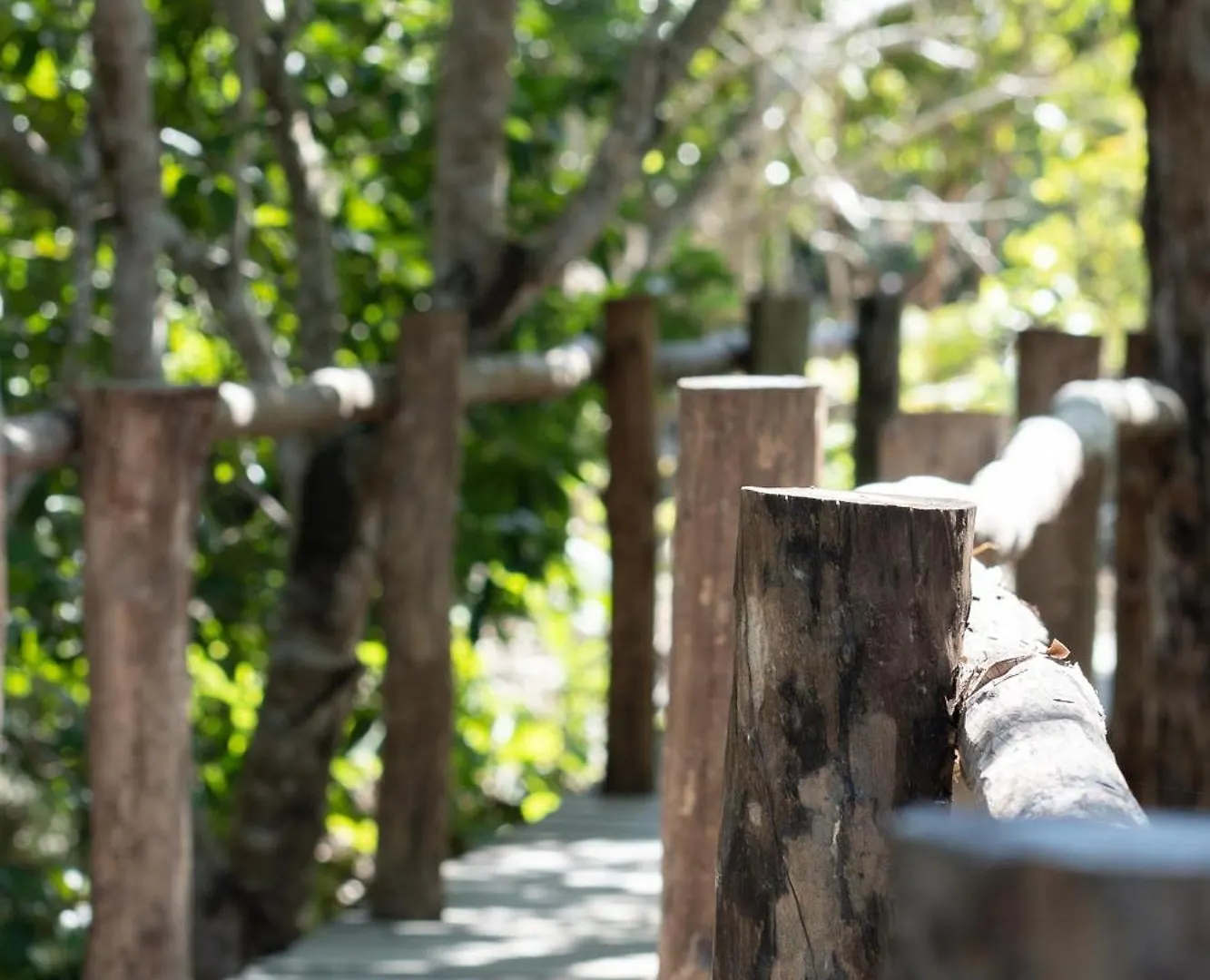 Pepem Holistic Experience - Peaceful Retreat Near Tulum (Adults Only) Villa
