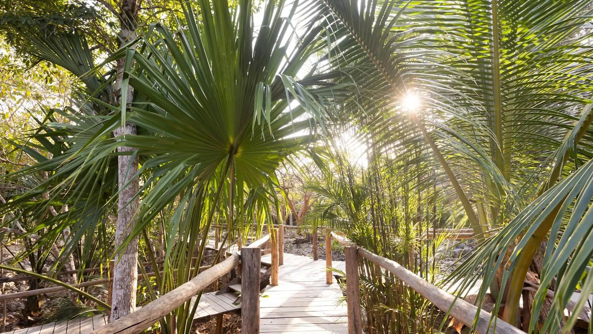 Pepem Holistic Experience - Peaceful Retreat Near Tulum (Adults Only) Villa